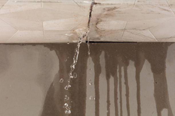 Professional Flood Damage Cleanup technician working in Eaton Rapids, MI